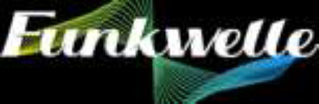 Funkwelle